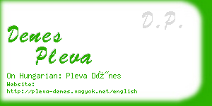 denes pleva business card